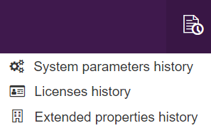 Audit options
